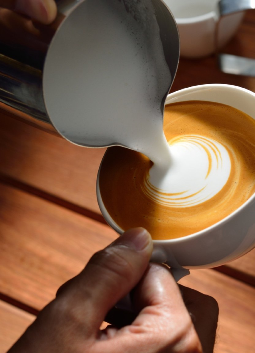 Cómo Elegir la Mejor Leche Para la Espuma y Arte Latte - Perfect Daily  Grind Español